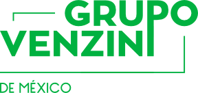 Grupo Venzini de México SA de CV